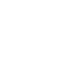 logo _1_