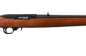 Ruger 10/22 Hardwood - 22 LR, 18.5" (1103)