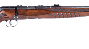 Savage B17 G - 17 HMR, 21" (70810)