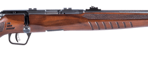 Savage B22 G - 22 LR, 21" (70210)