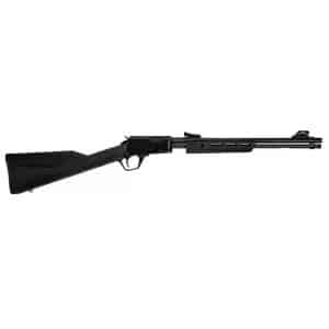 Rossi Gallery, Canada - 22 LR, 18" (RP2218SY-EN15)