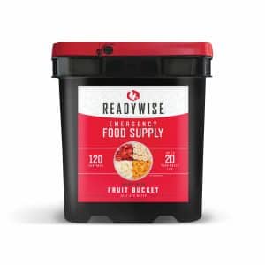 ReadyWise Emergency Food Supply - Fruit Bucket, 120 Serving (CARW40-52120)